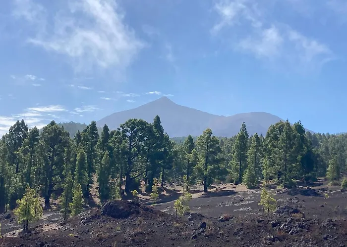 Apartmán Orlando - Ocean View In *